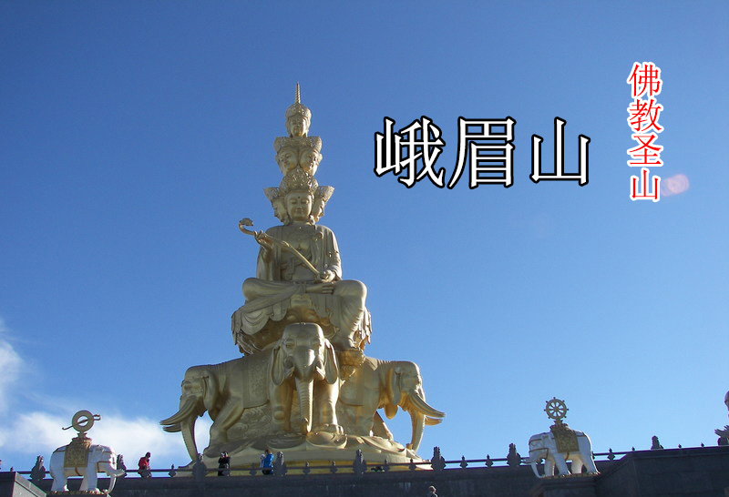 金顶十面佛lo