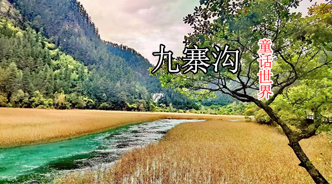 jzg