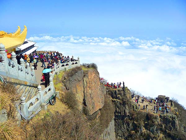 20190220175131131290